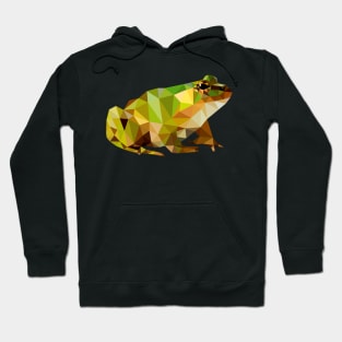 Frog Hoodie